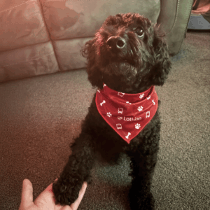 Lothian Dog Bandana